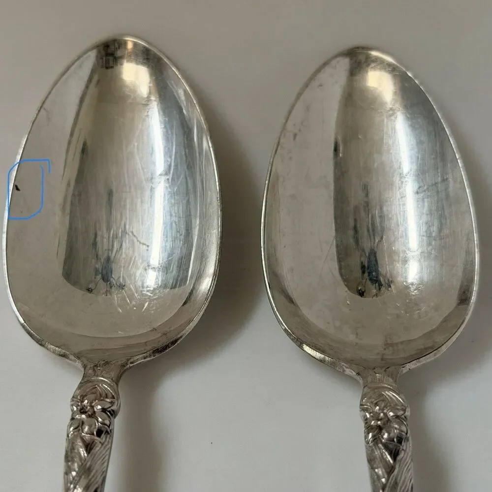 2pc Antique Oneida Narcissus Silverplate 1908 Oxford Serving Spoons 9 1/8”